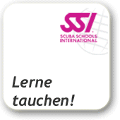 Lerne tauchen ! - Online bei SSI - Scuba Schools International