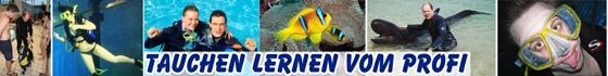 Open Water Diver - OWD